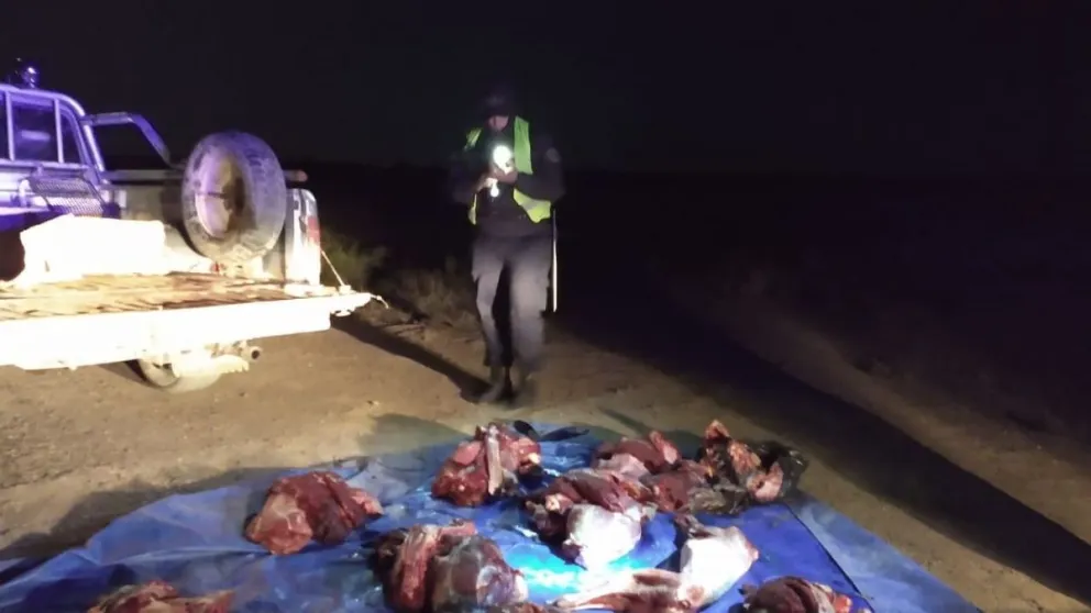 Decomiso por caza furtiva en Valcheta
