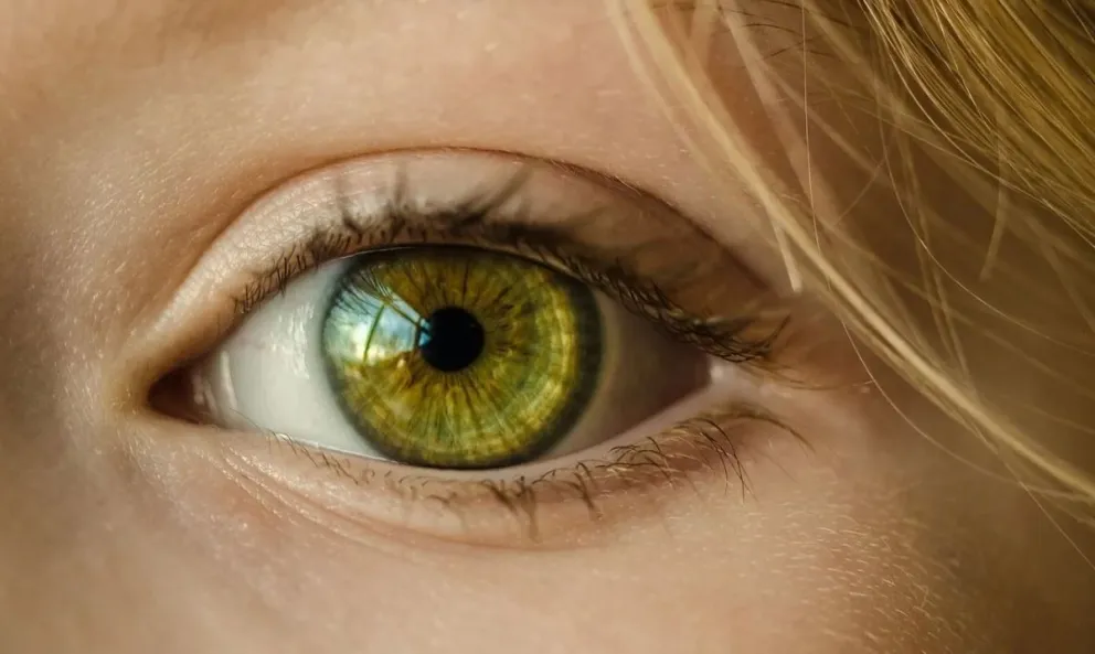 ¿Por qué nos tiembla el ojo?