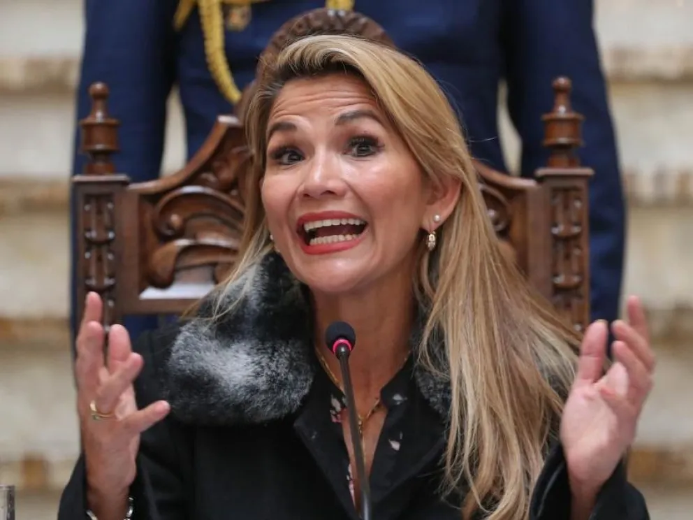 Bolivia: Añez pide a la CIDH que aparte a dos expertos argentinos