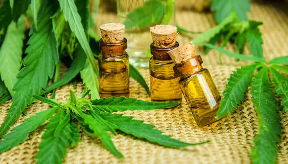 Productores se reunirán en la UNRN por el cannabis medicinal