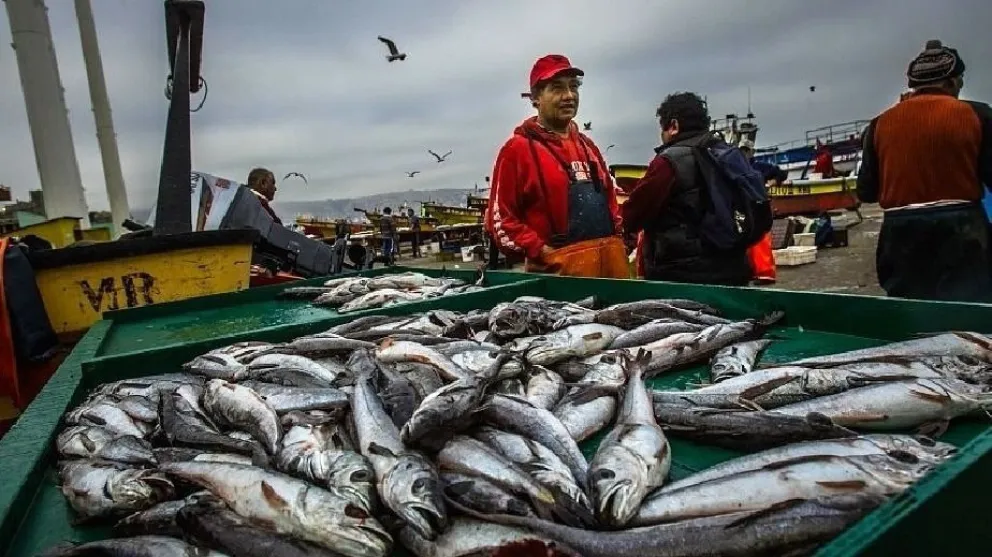 Río Negro adhiere a la implementación del Parte de Pesca Electrónico