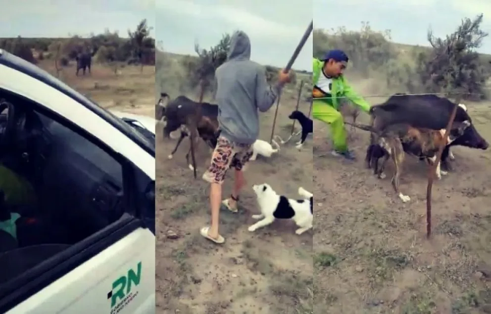 Despiden a un trabajador de Aguas por uso indebido de un vehículo