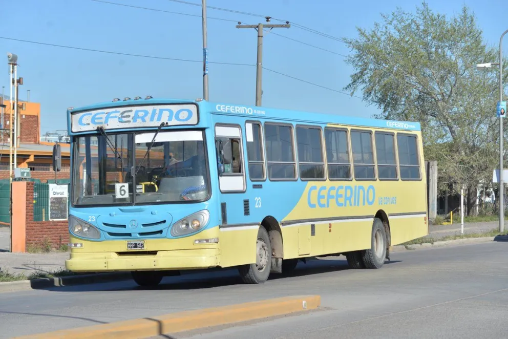 La gratuidad de colectivos en Viedma dependerá del Municipio