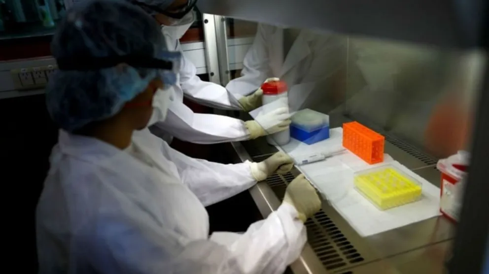 Coronavirus en Argentina: la cantidad de casos positivos diarios bajó casi  a la mitad