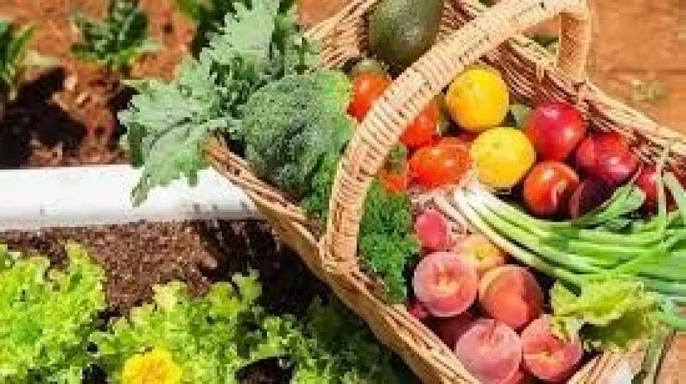 Cómo planificar la alimentación durante el aislamiento