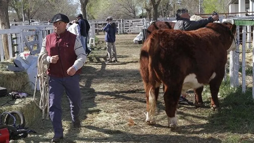 La Sociedad Rural de Patagones participa de la colecta solidaria