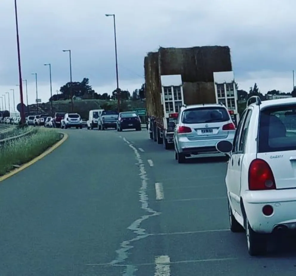 Pesatti exigió "autorresponsabilidad" y mostró una cola interminable de autos
