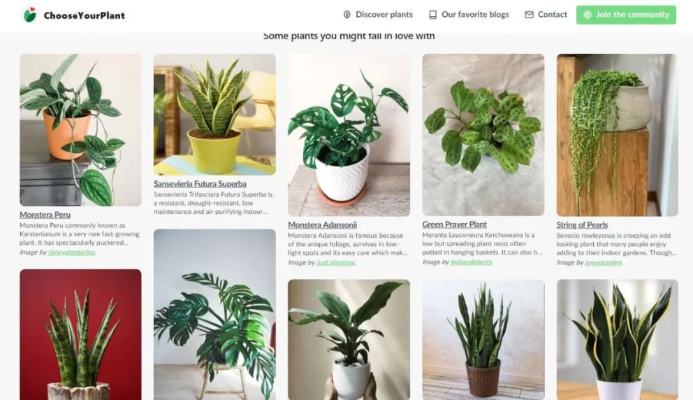 Nace red social para amantes de las plantas