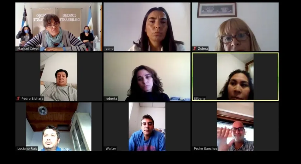 El Concejo Deliberante analiza sesionar por videoconferencia