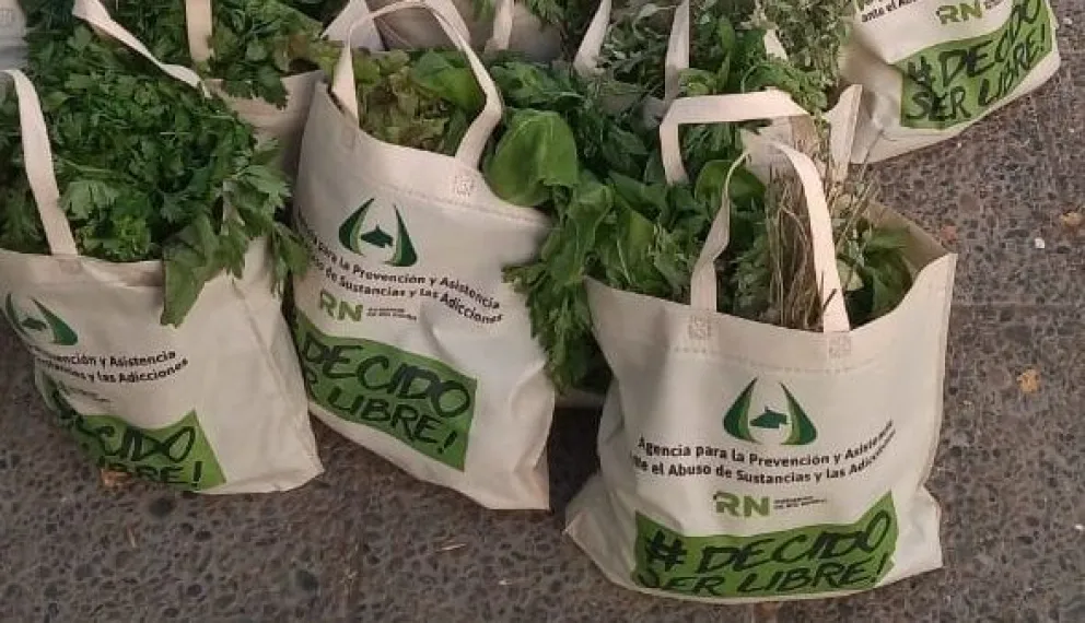 Repartirán bolsones de verduras en el Paulo VI