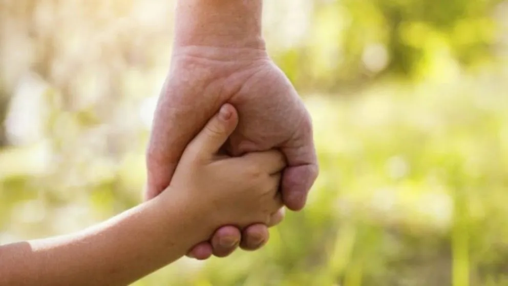 El Registro de adopciones sigue abierto