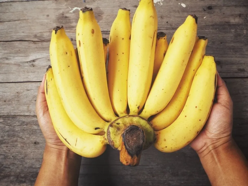5 Motivos para comer bananas