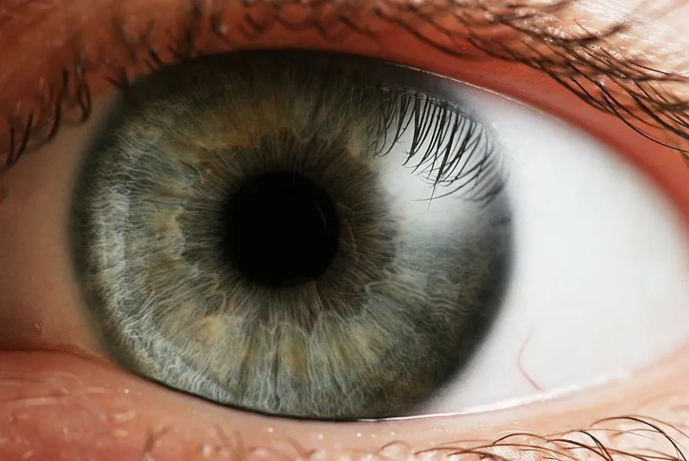 ¿Qué motiva a que los ojos cambien de color?