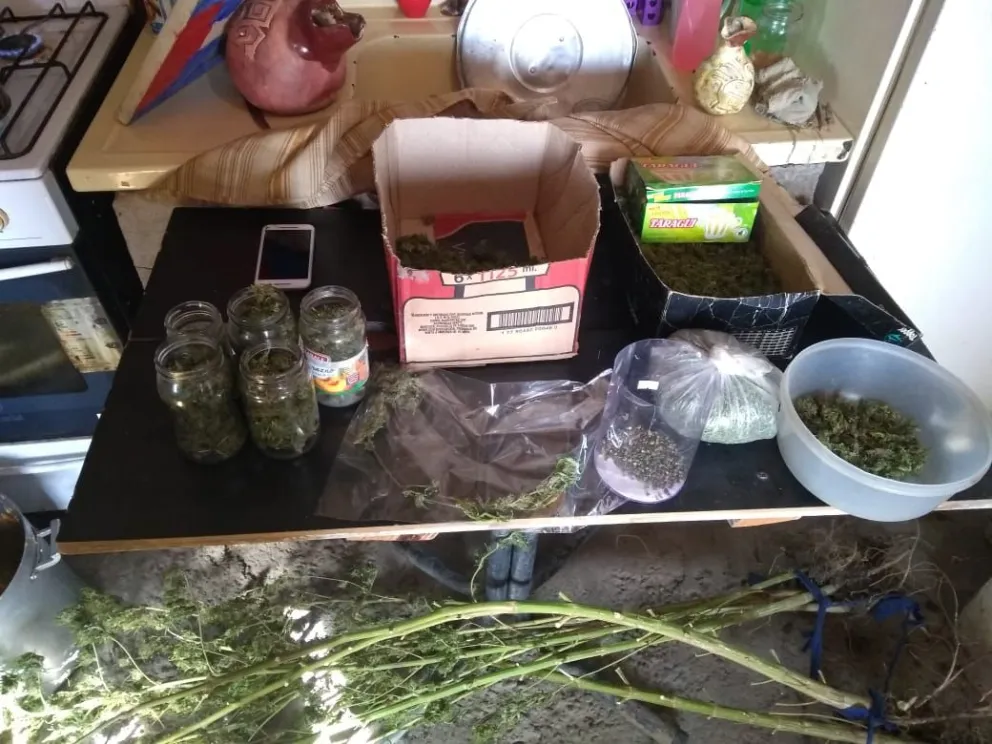 Hallaron droga en un comedor al que iban menores de edad