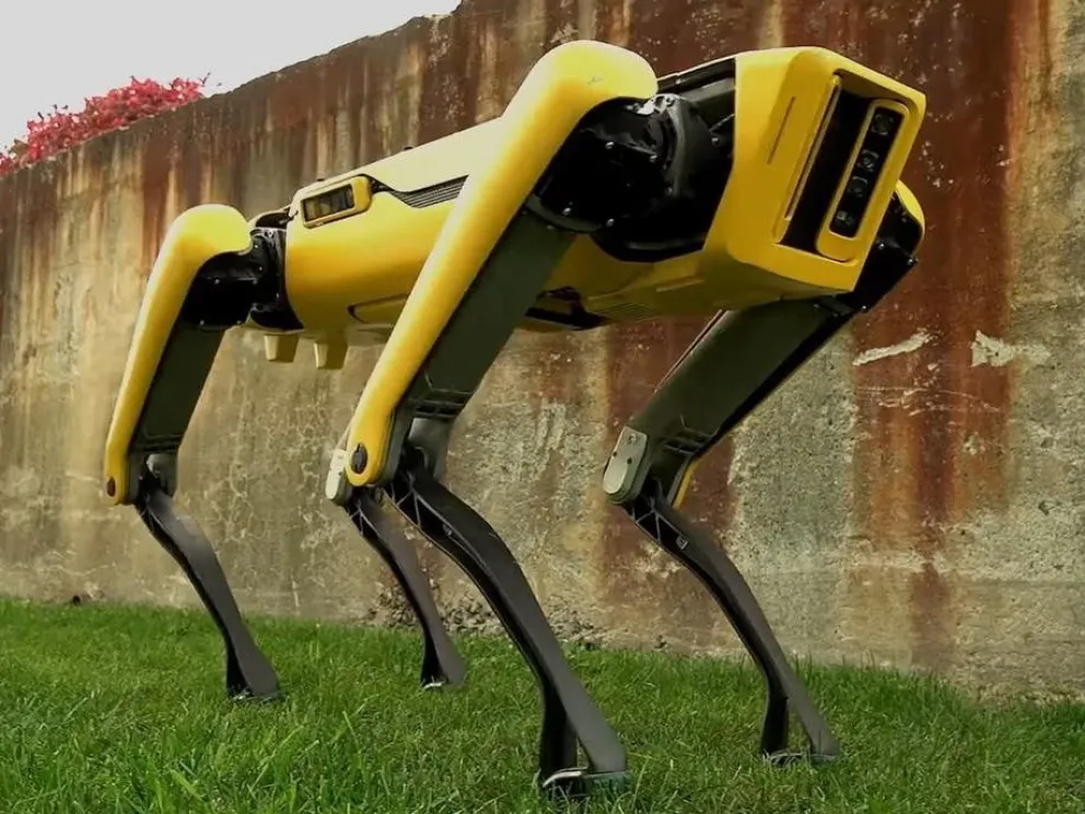 Aislamiento en Singapur: perro robot custodia parque recreativo