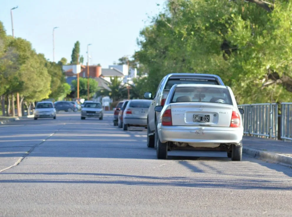 Paseadores de perros piden volver a la actividad