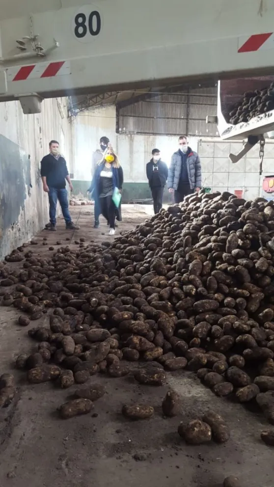 El Municipio recibió una donación de 21 mil kilos de papas