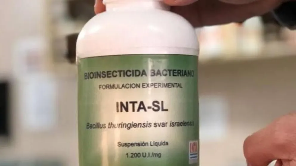 El INTA desarrolló un bioinsecticida para combatir el dengue