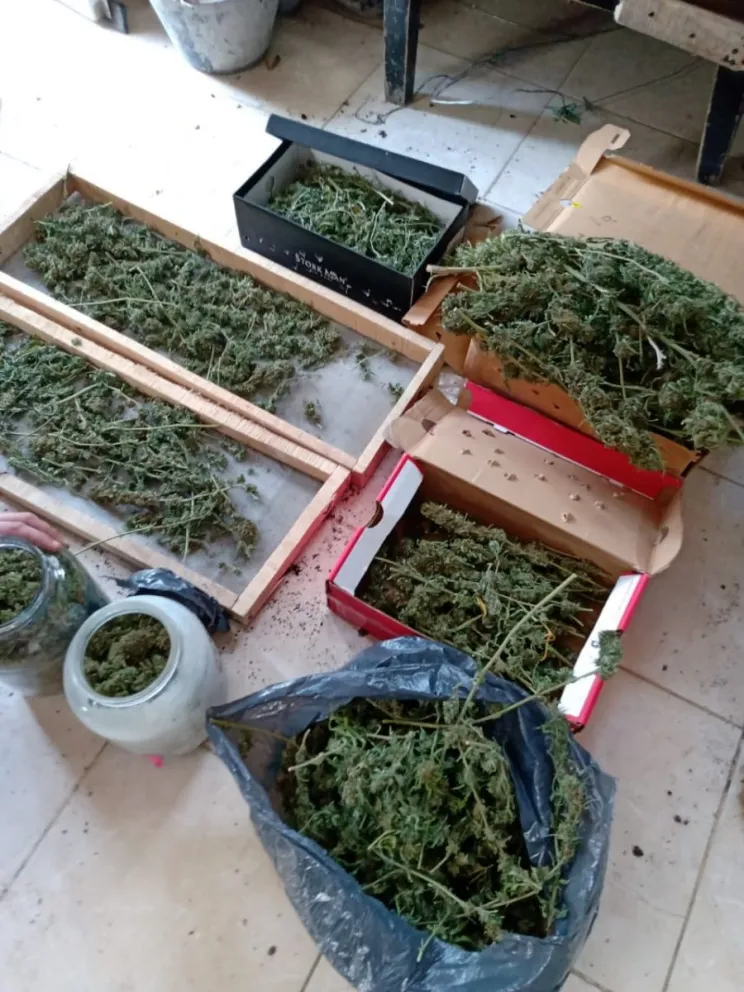 El Progreso: Fueron por un problema familiar y hallaron marihuana
