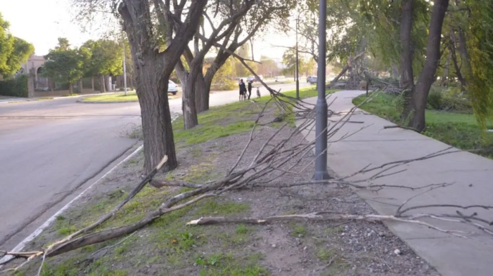 Intenso trabajo del Municipio debido al temporal del domingo