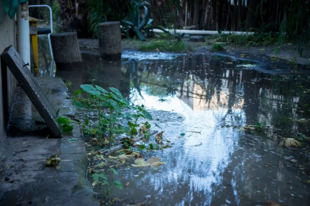 Familias del barrio Guido amanecieron con sus casas inundadas
