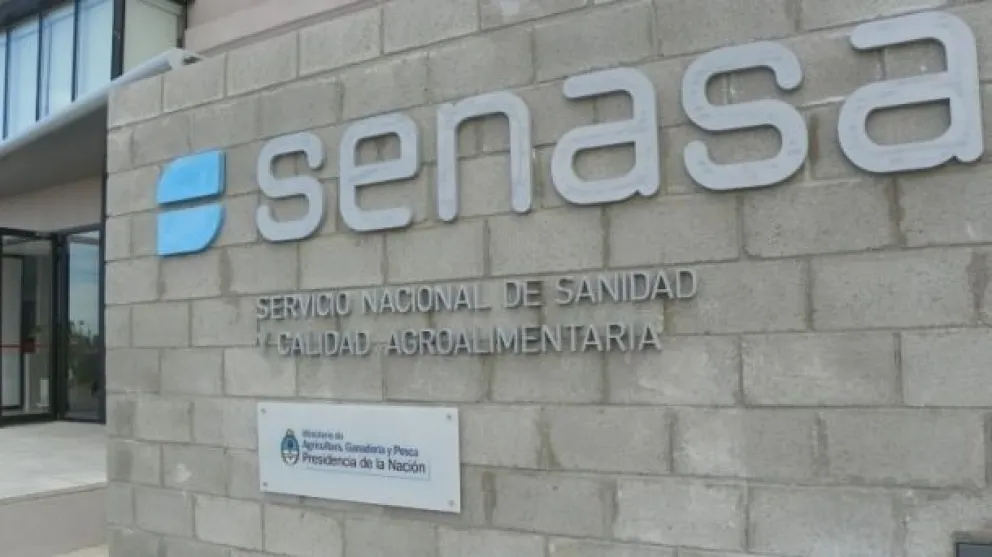 "Comer carne segura", recomiendan desde Senasa