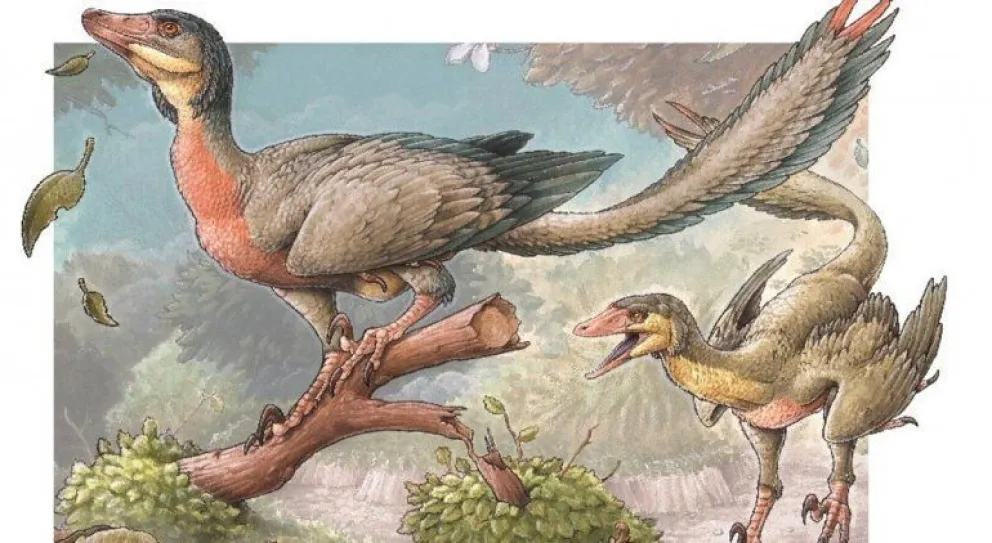 Presentan un dinosaurio rionegrino que tenía alas