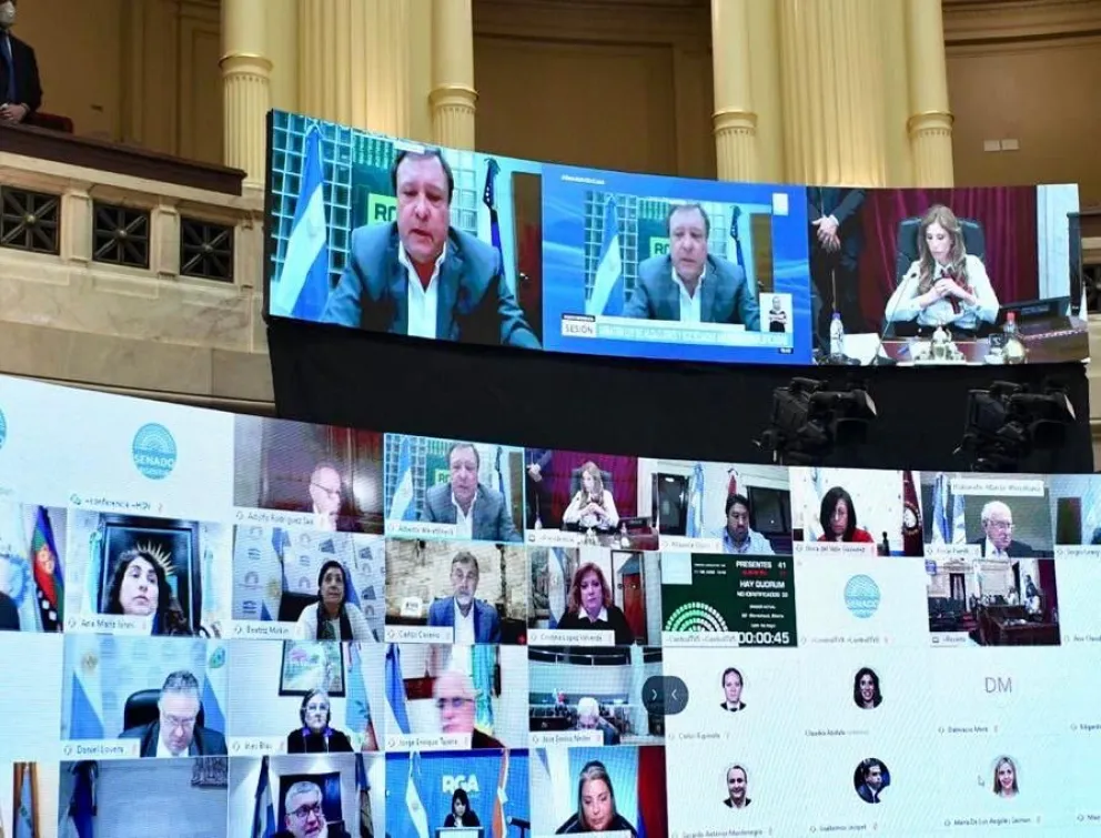 "Cambiemos quiere convertir el senado en un show circense"