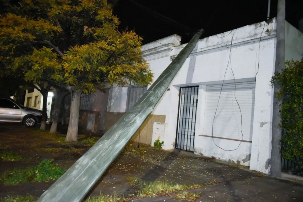 Se cayó un poste en la calle Roca y varias ramas en la costanera