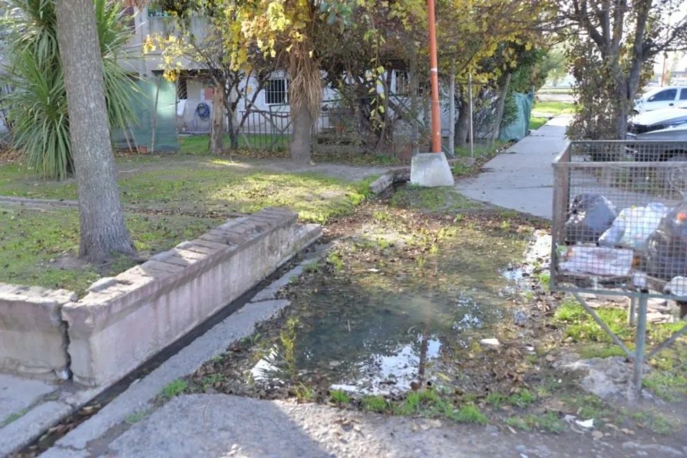 Persisten los desbordes cloacales en el barrio Guido