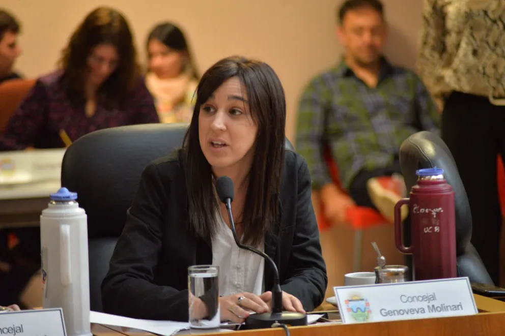 Molinari pidió que el Municipio actúe de oficio por los desbordes
