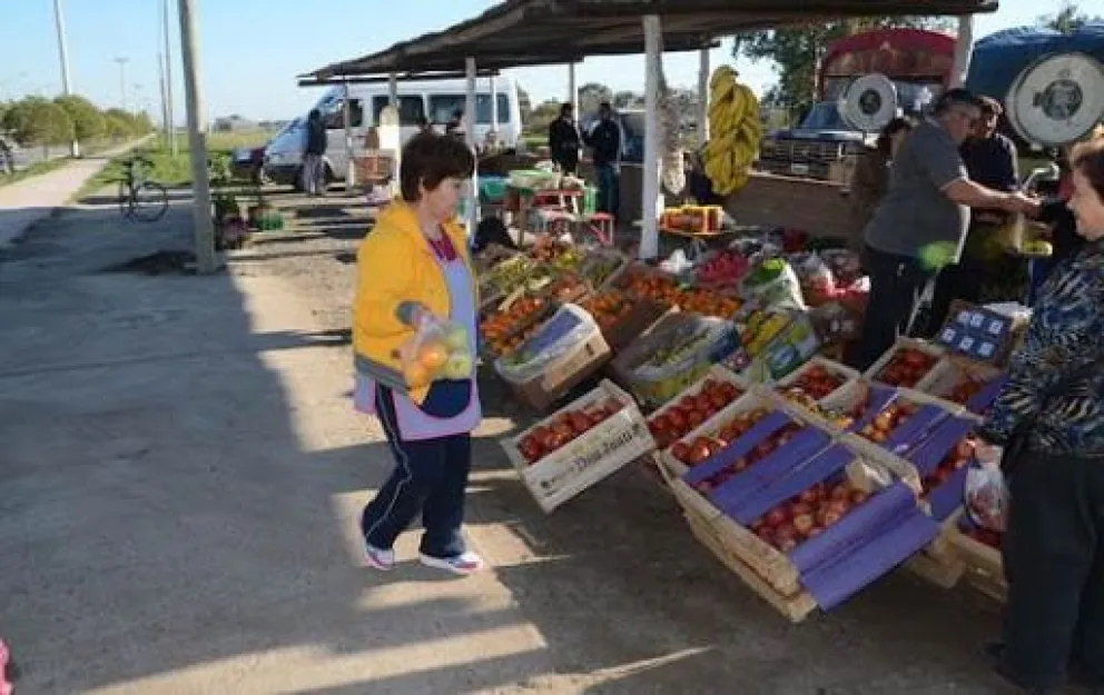 Los feriantes quieren trabajar; "no damos más", aseguran