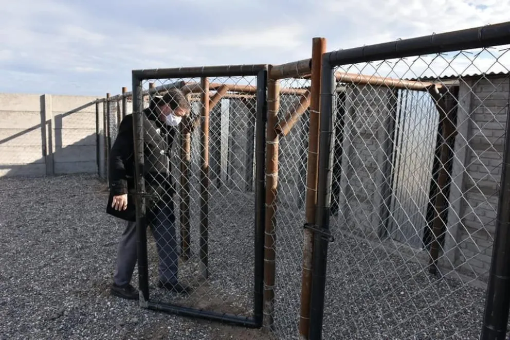 San Antonio hizo caniles para tratar la sobrepoblación canina