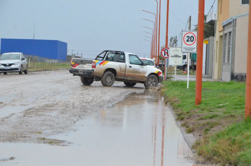 Alertan publicidad engañosa sobre las licencias de conducir