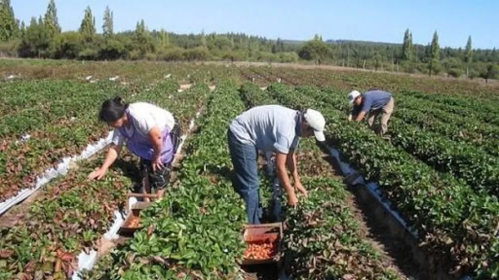 El Banco Nación promoverá la inclusión de la agricultura familiar