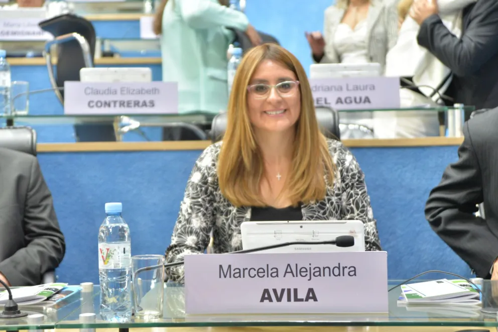 Ávila destacó el esfuerzo provincial a pesar de las complejidades