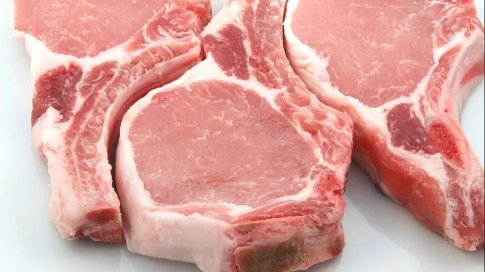 Patagones: detectan triquinosis en una muestra de carne de chancho jabalí