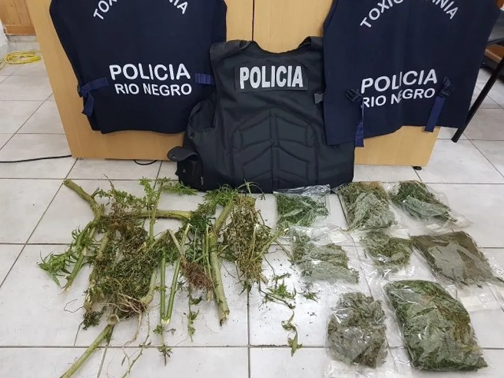 Secuestraron marihuana en una casa del centro de Viedma