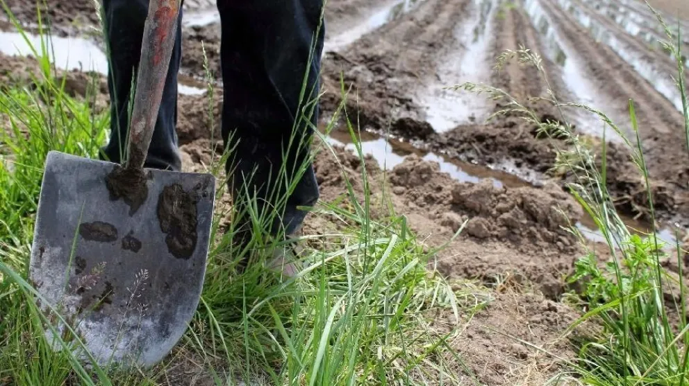 Río Negro lanzó el Programa Integral de Capacitaciones Continuas