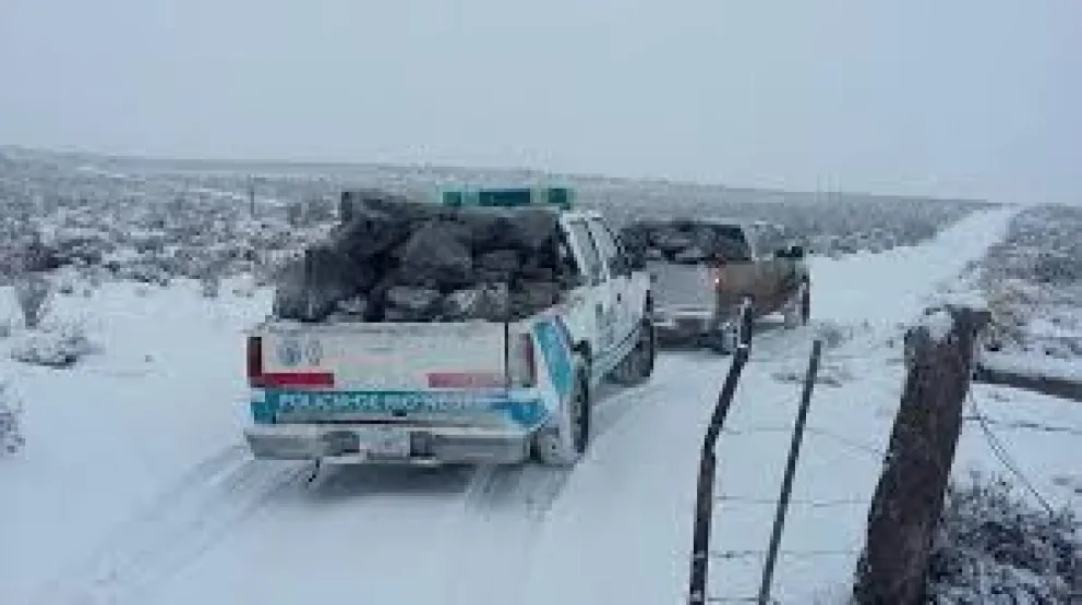Protección Civil continúa con los operativos por las nevadas