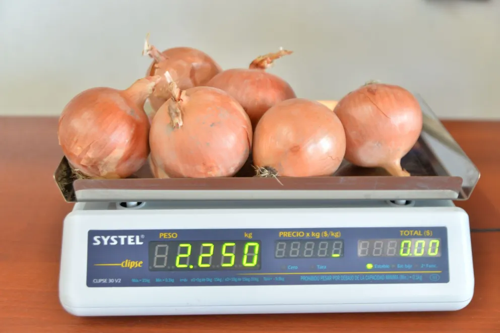 La producción de cebollas apuntala la economía regional