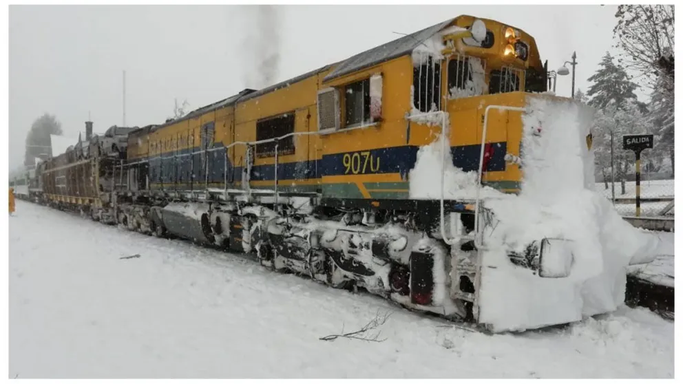 Piden con "urgencia" restituir el Tren Patagónico