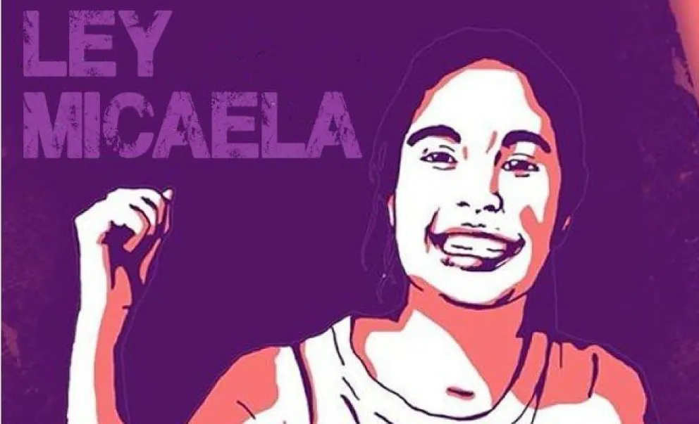 Ley Micaela, para modificar “leyes de hace cien años"
