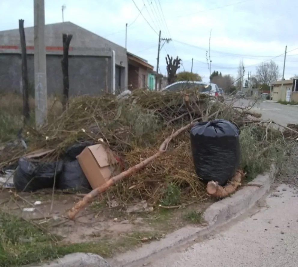 Basura acumulada en los barrios, "el vecino debe ayudar"