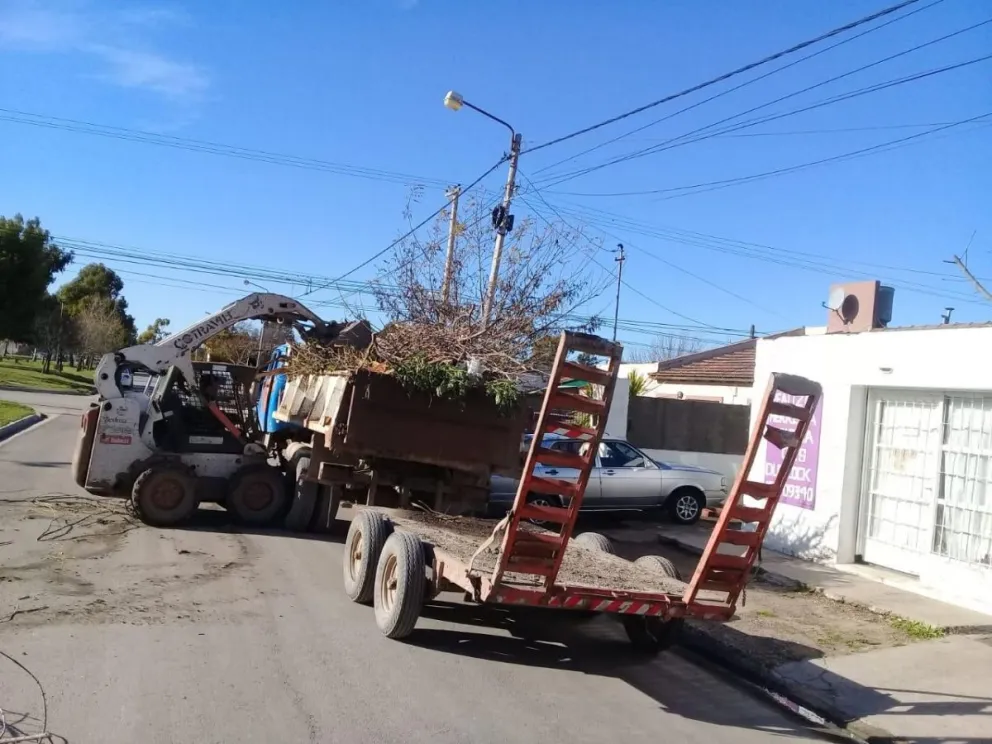 Se amplían los operativos para la recolección de ramas