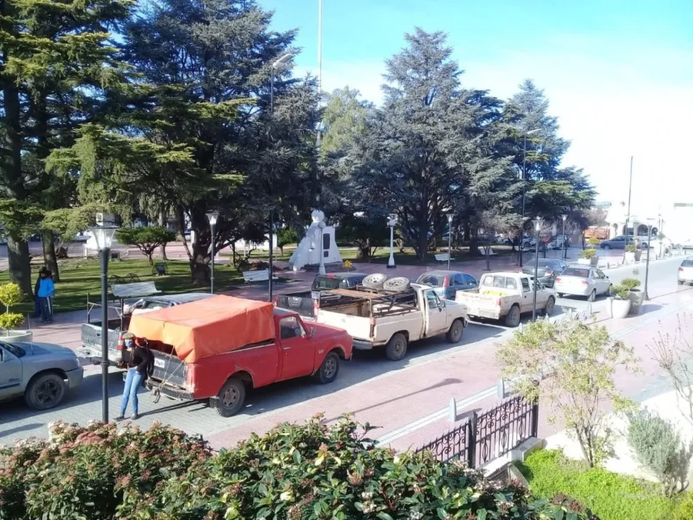 Caza de jabalí: Zara comprometió gestiones en La Plata