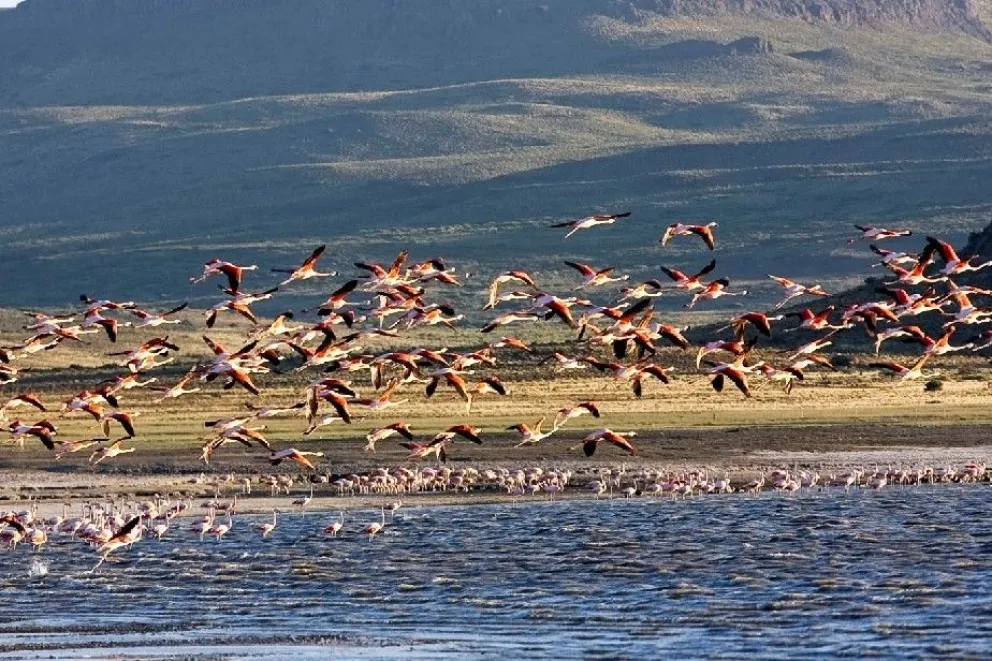 Actividades riesgosas para el ambiente deberán tener un seguro