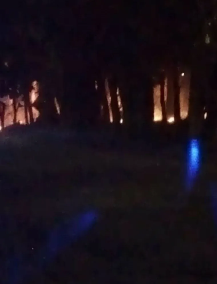 Incendio de pastizales en la Escuela Spegazzini