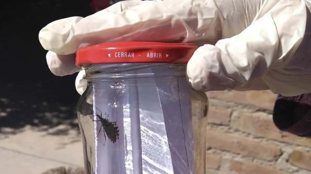 Río Negro: charla sobre control y tratamiento del Chagas