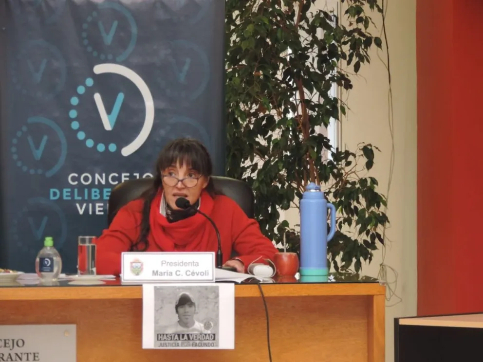 El Concejo de Viedma pide declarar el trabajo del personal de salud como insalubre